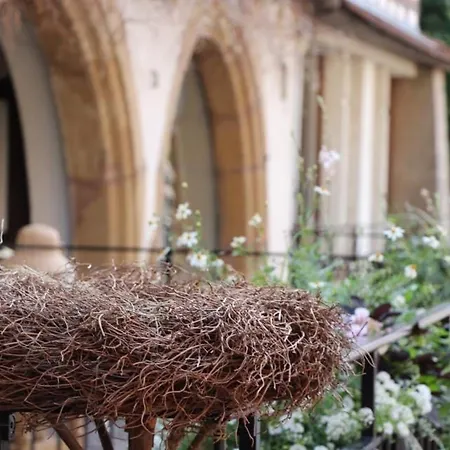 Charmante Maison 3 Au Coeur Du Vignoble Avec Terrasse - Fr-1-722-8 Casa de Férias Voegtlinshoffen