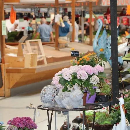 Charmante Maison 3 Au Coeur Du Vignoble Avec Terrasse Vakantiehuis Voegtlinshoffen